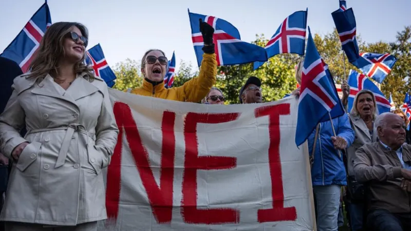 Pesca, moneda, seguridad... En Islandia, la población está dividida sobre la adhesión a la Unión Europea