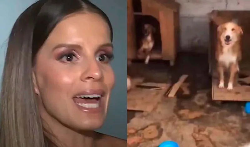 Alejandra Baigorria marca distancia de albergue en Chaclacayo tras denuncia por abandono: "No tengo obligación de ayudar a todos"