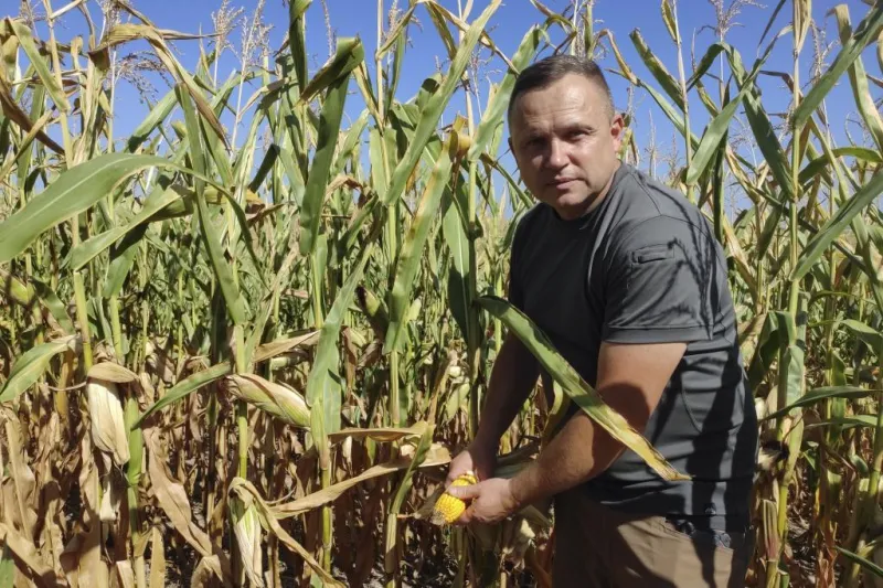 Los agricultores ucranianos luchan por sobrevivir ante el bloqueo ruso de exportaciones
